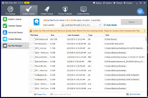 Showing the big files manager in WiseCare 365 Pro